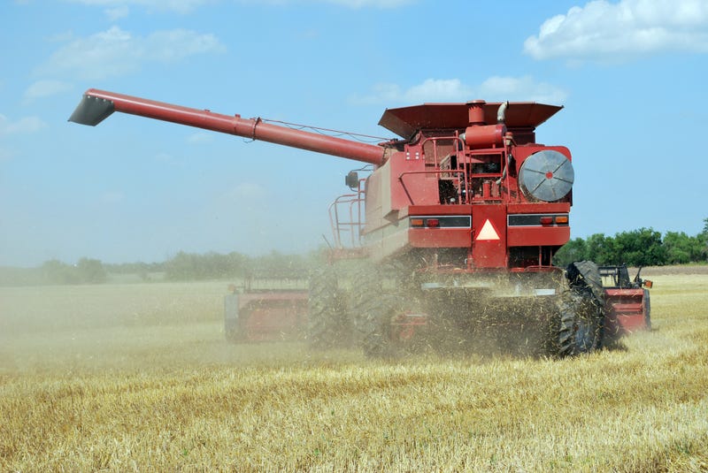 wheat harvest