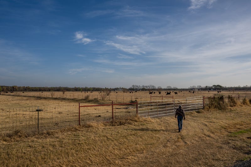 Farmer Randy Edwards, 64, prepares to provide hay for his cattle on February 23, 2023 in Quemado, Texas.