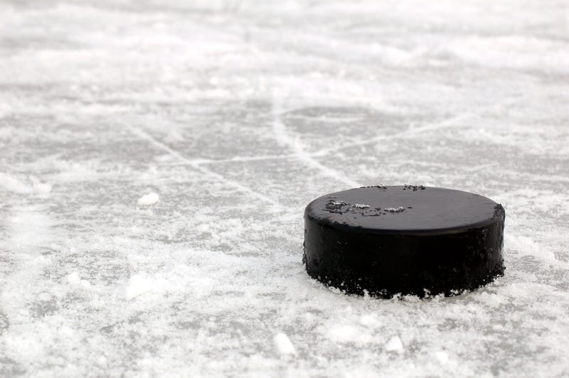 hockey puck