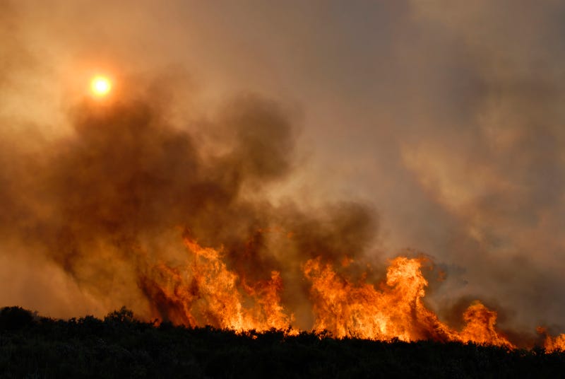 Fire and forest - Batalha city - Portugal - Europe