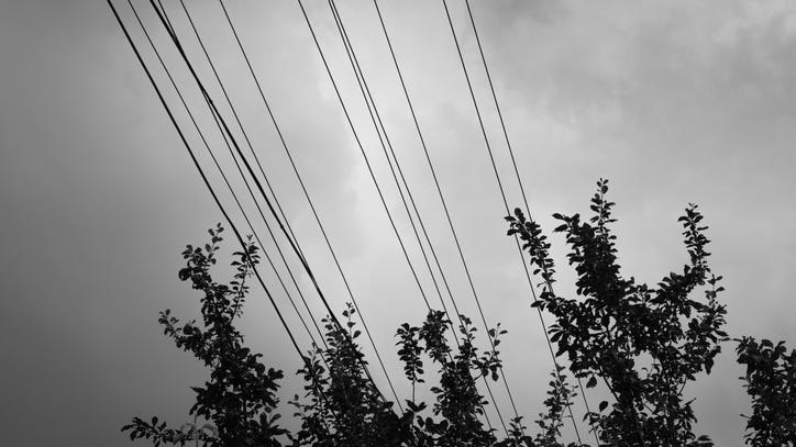 Wind Advisory: 'A few power outages' possible with gusts up to 50 mph in forecast for Metro Detroit on Saturday