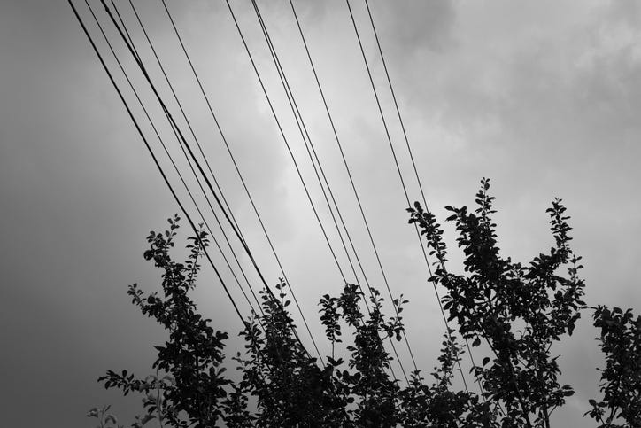 a file photo of power lines and tree branches