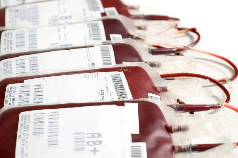 Blood supply