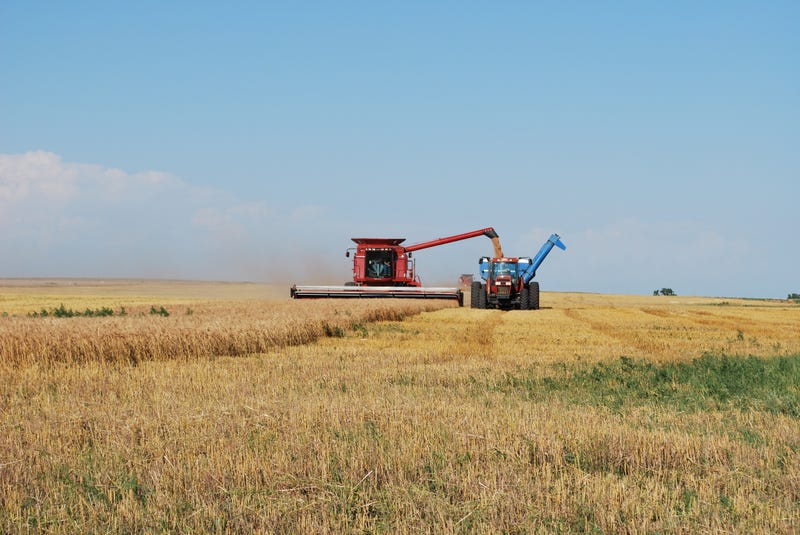 Kansas wheat harvest