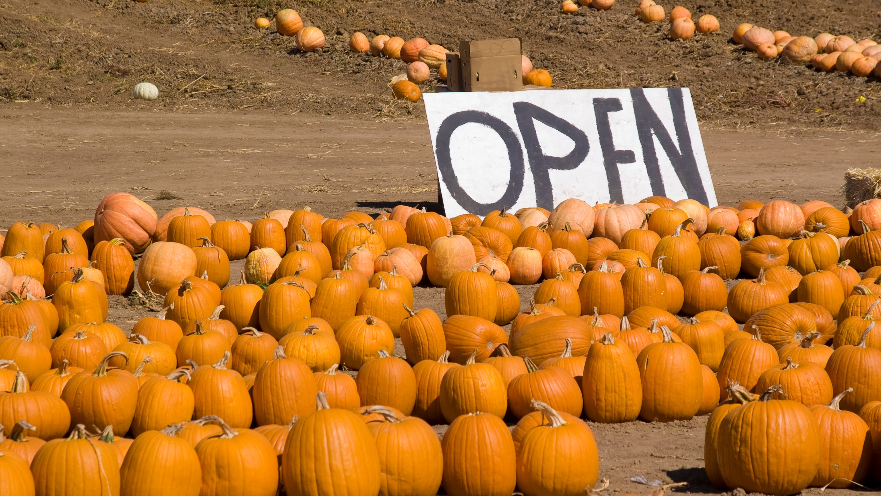 Flower Mound Pumpkin Patch rescinds closure, will remain open for the 2022 season