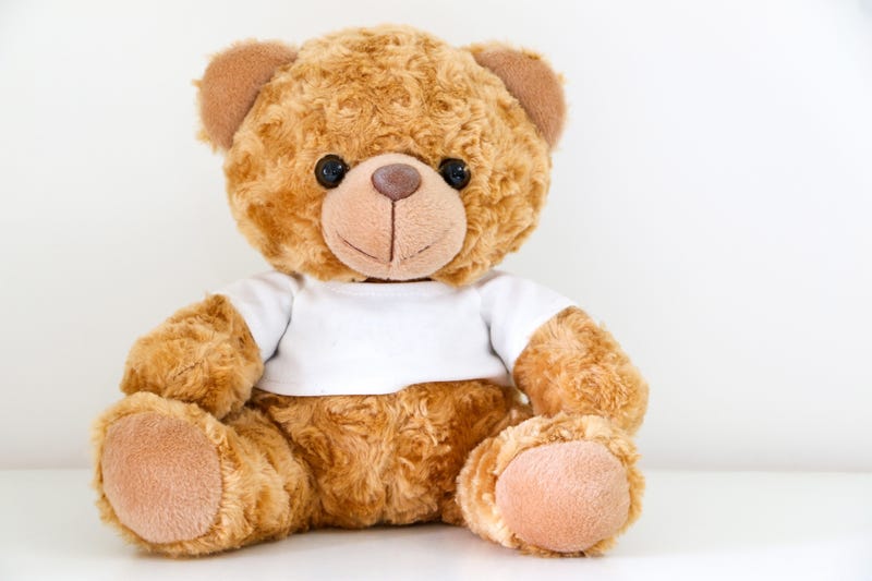Teddy bear