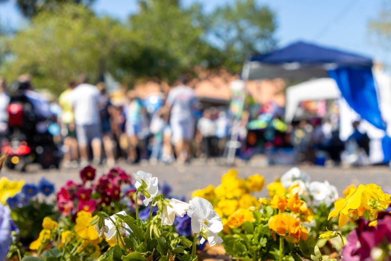 “V” stands for vitality at V-FEST, a free family event scheduled from noon to 5 pm on Saturday, July 27 at ARTS-Us at 1221 Marshall Ave in St. Paul.