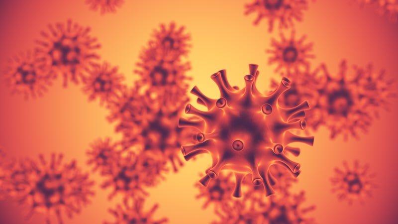 H3N2 influenza virus
