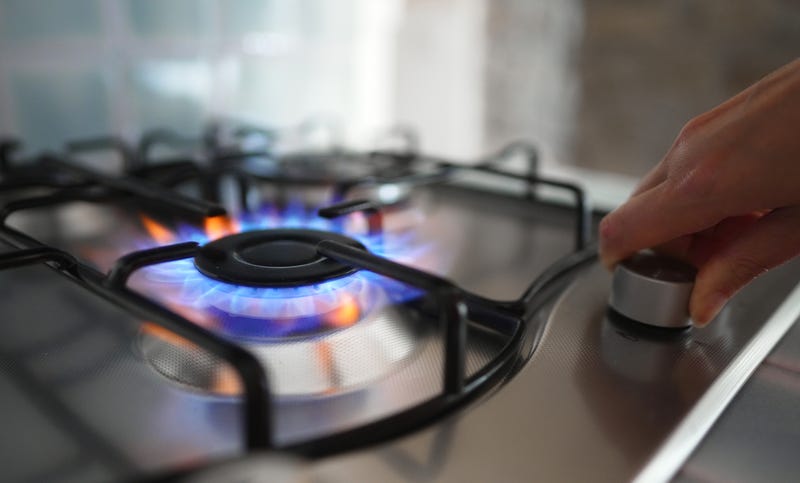 Louisiana regulator to investigate New Orleans gas provider