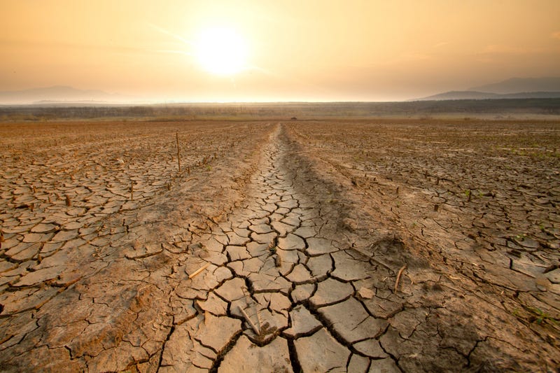 Drought in the desert. 