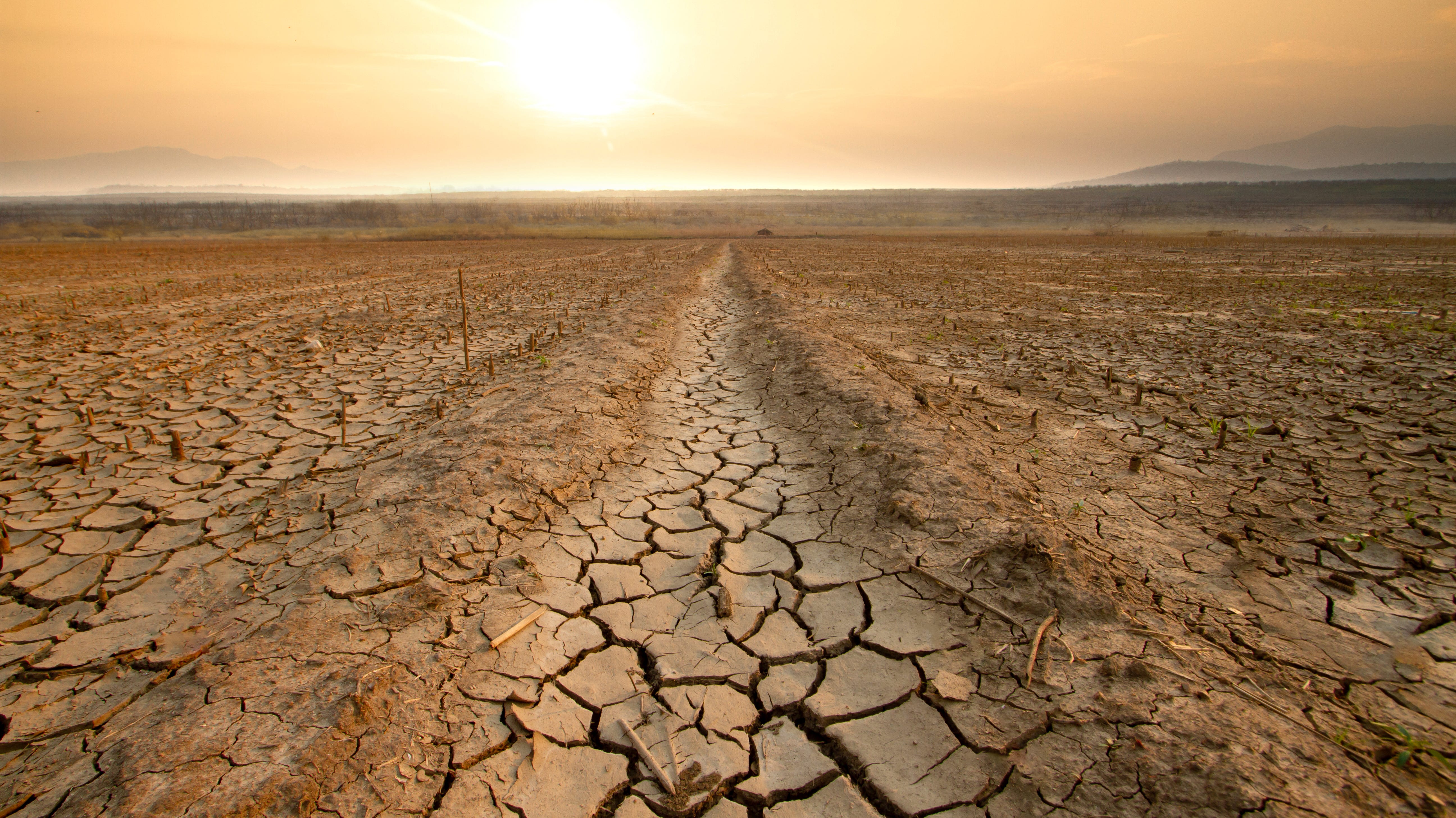 Ask the Expert: So, El Niño is back. What does that mean?
