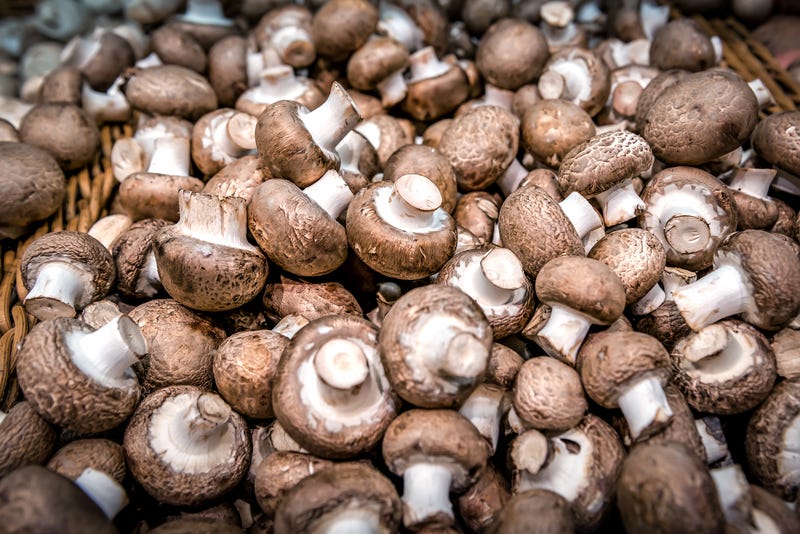 Pile of mushrooms 