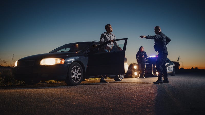 Hennepin County Sheriff Dawanna Witt says new Supreme Court ruling that states your car is a "public place" doesn't mean you can be pulled over or searched without "probably cause."