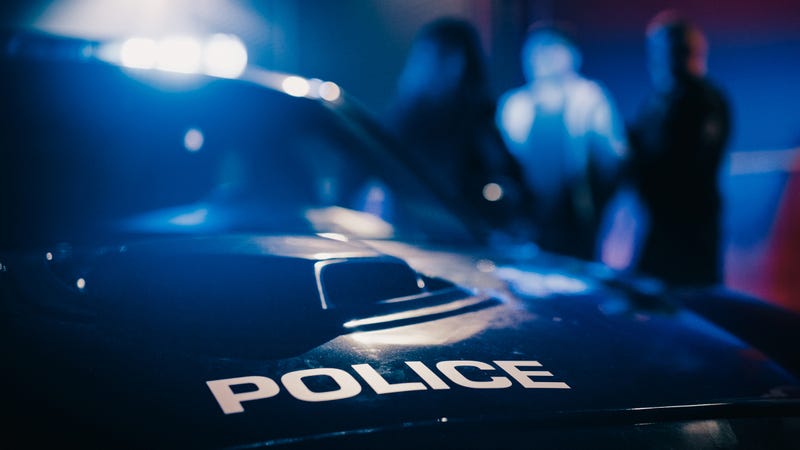Arrest, Robbery, Juvenile, Brooklyn Park