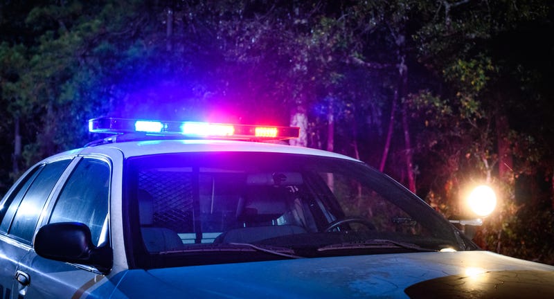 Police Car in Woods