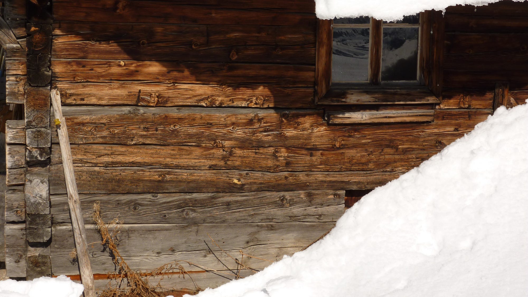 Video: CHP rescues 2 people and a dog trapped for 2 months in snowed-in Sierra cabin