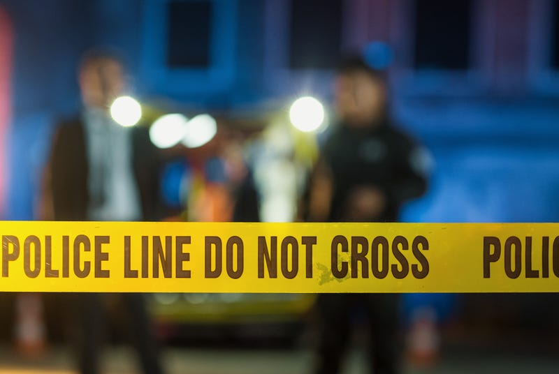 Duluth Police are saying the suspect in Thursday's murder-suicide gunned down his two young sons and their mothers before taking his own life.