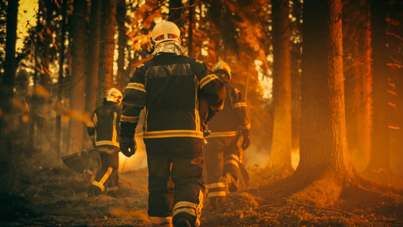 Firefighter