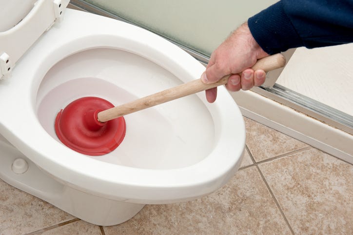 Toilet plunger