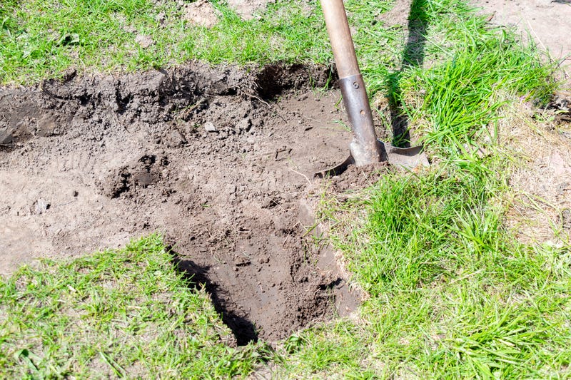 dirt