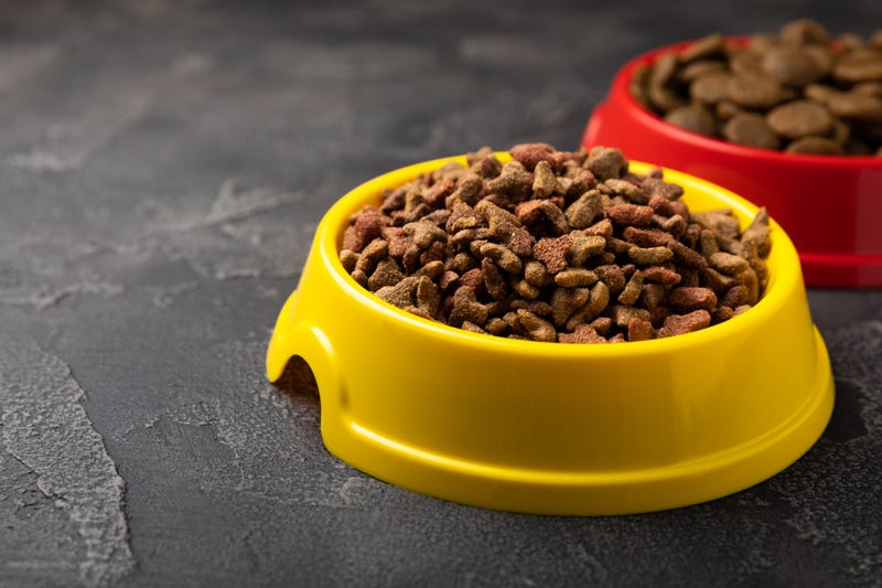 Dog food