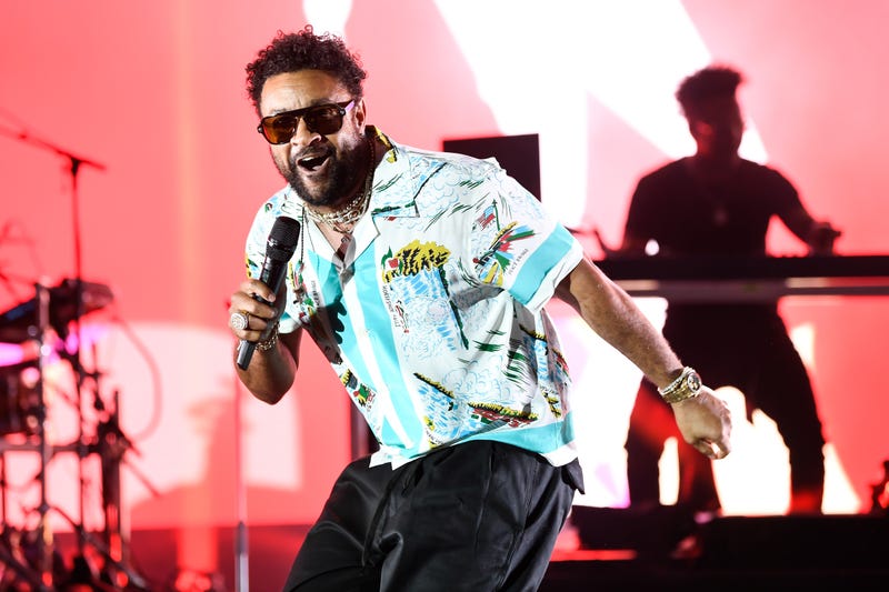 Shaggy performing