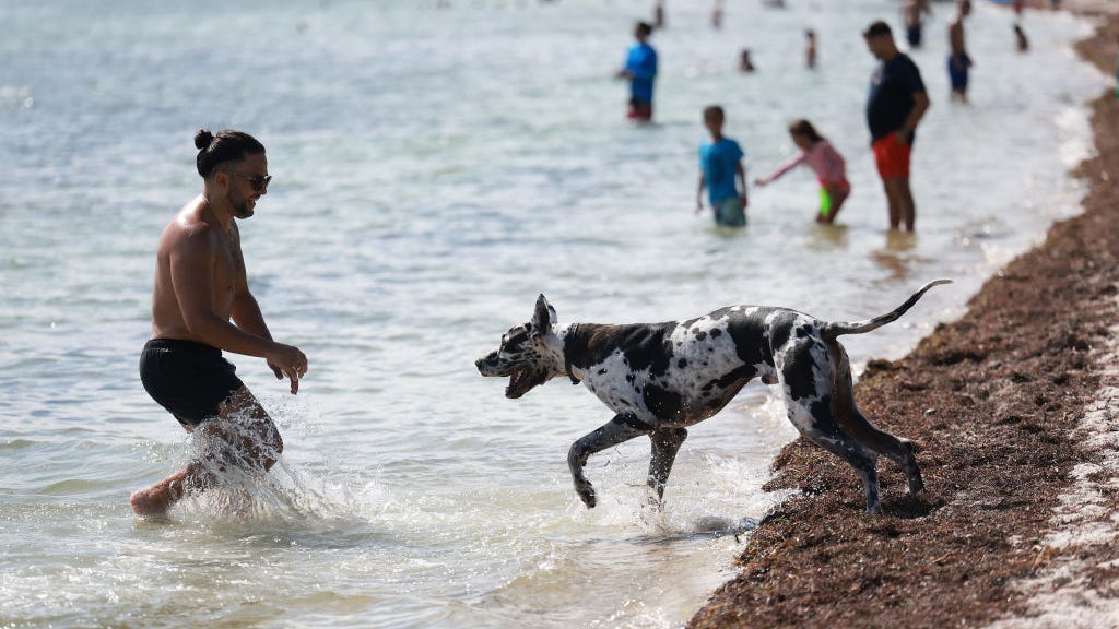 Triple digit temps will hit a swath of the US today as some break power grid records
