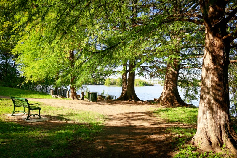 park