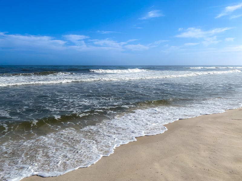 Health officials are warning against swimming at more than 50 beaches in Nassau and Suffolk counties Friday due to elevated bacteria levels.