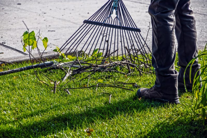 Storm cleanup