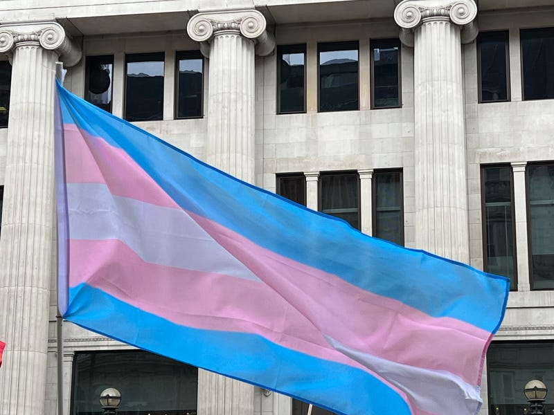 trasngeder flag