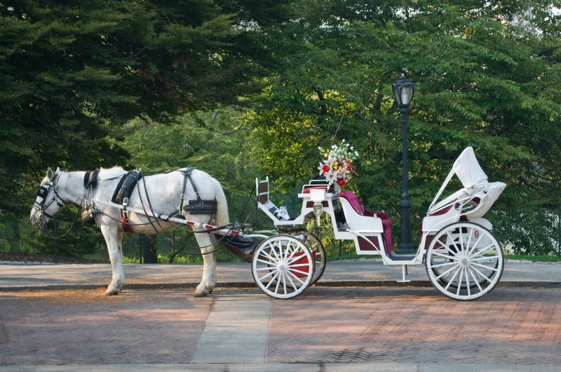 A horse and buggy