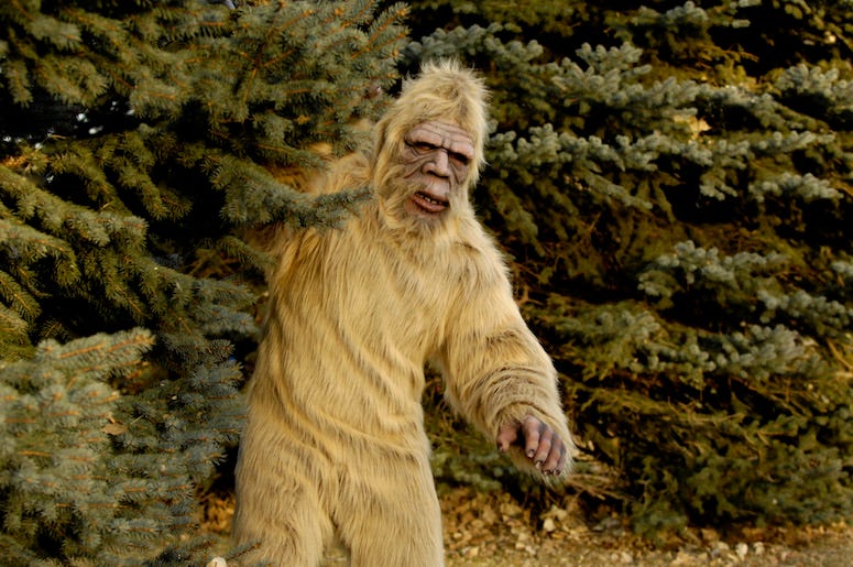 Bigfoot costume in the woods