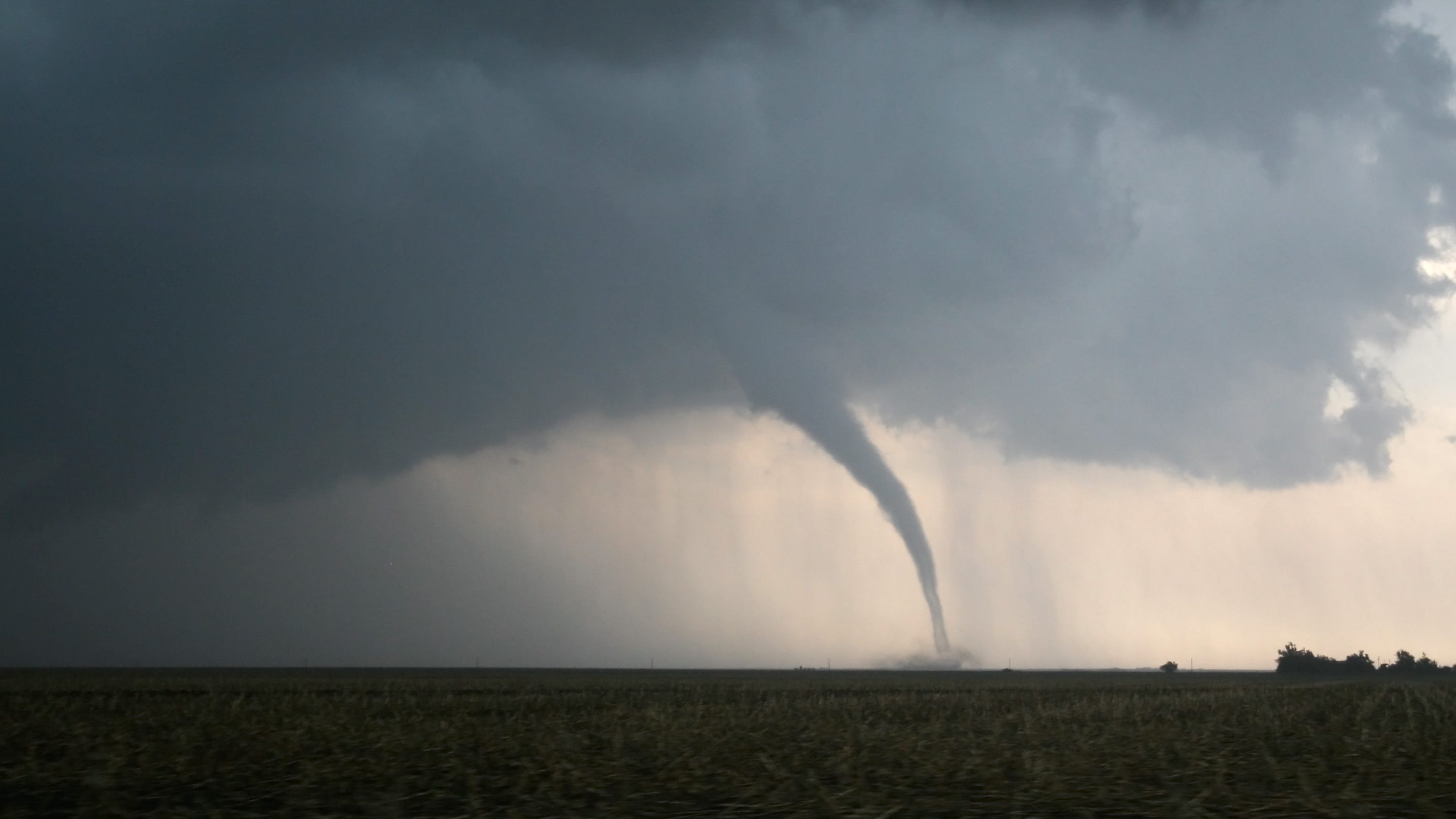 Brief tornadoes knocked down trees, caused structural damage in Kane, DeKalb and Ogle counties