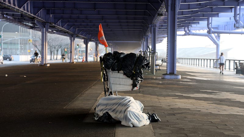A man sleeps under the FDR Drive viaduct in Lower Manhattan