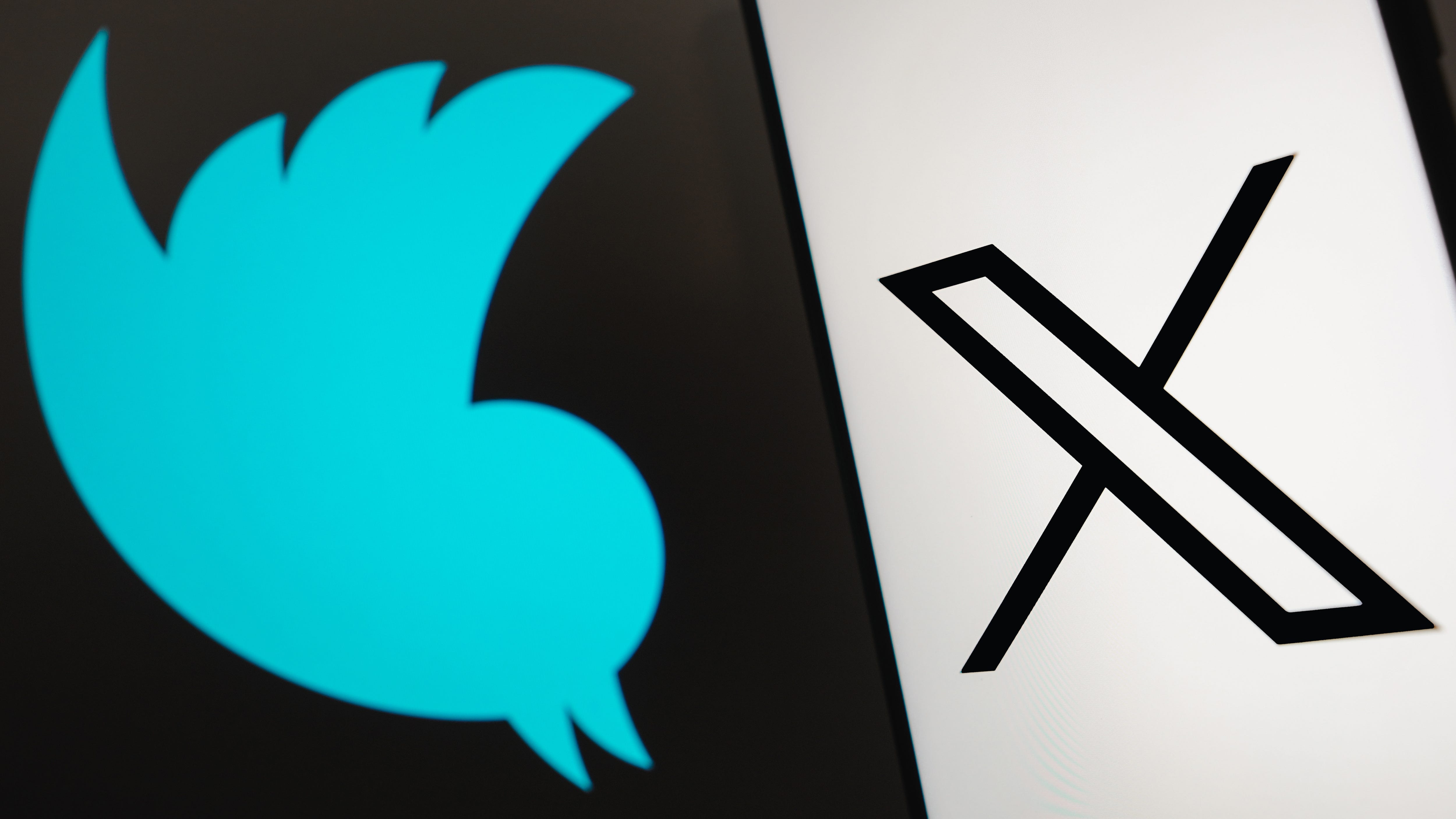 ‘It’s nonsense’: Elon Musk bids the blue bird adieu with Twitter rebrand