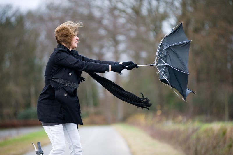 The National Weather Service said damage to trees and power lines are expected as a powerful wind storm bringing gusts near 60 mph moves into the listening area on Sunday.