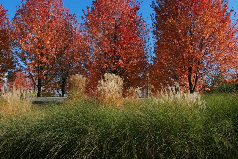 Millennium Park