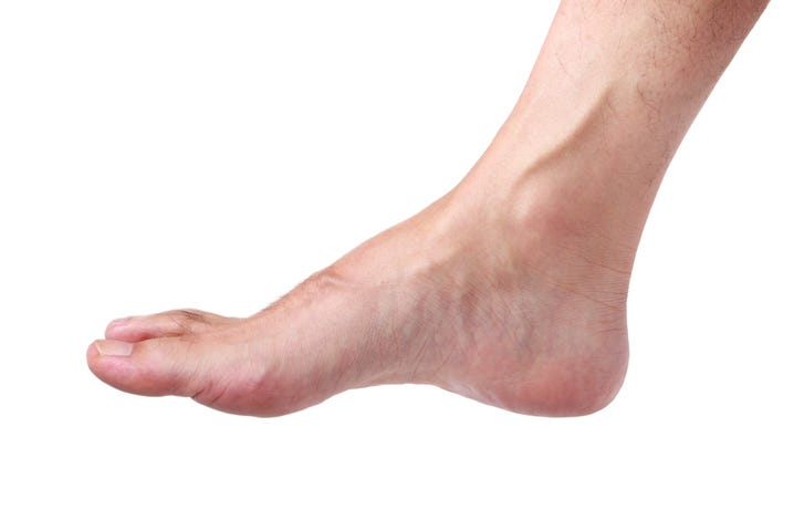 Foot