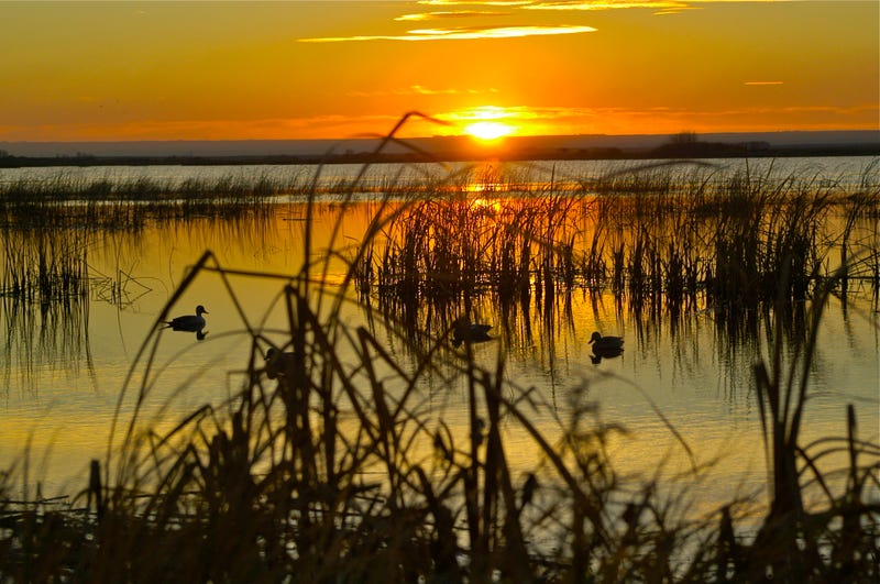 An eastern Missouri teen was killed Sunday while duck hunting with some friends. Police say it was accidental.