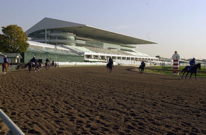 A general view of the track and grandstands at Arlington Park during morning workouts for the 2002 Breeders' Cup World Thoroughbred Championships on October 21, 2002 in the Chicago suburb of Arlington Heights, Illinois.