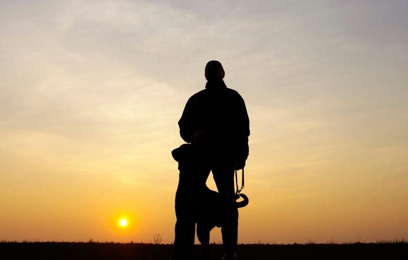 A Clarkston resident out on a walk with his dog made a disturbing find after he stumbled across a gun in a field behind Springfield Plains Elementary School a week ago, district officials said.