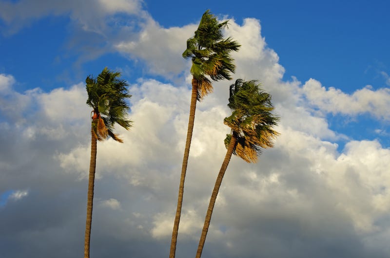 Windy