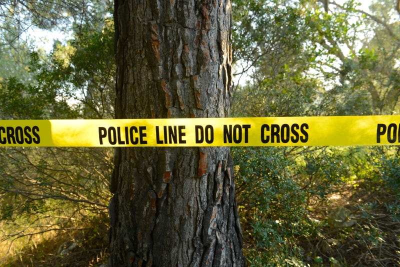Authorities in the Upper Peninsula confirmed that more human remains were discovered in a wooded area following the discovery of a human skull last week.