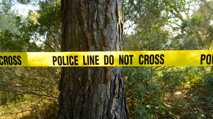 Woman found dead in car in woods in Woodhaven, police investigating