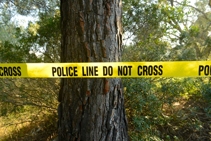 police line on a tree