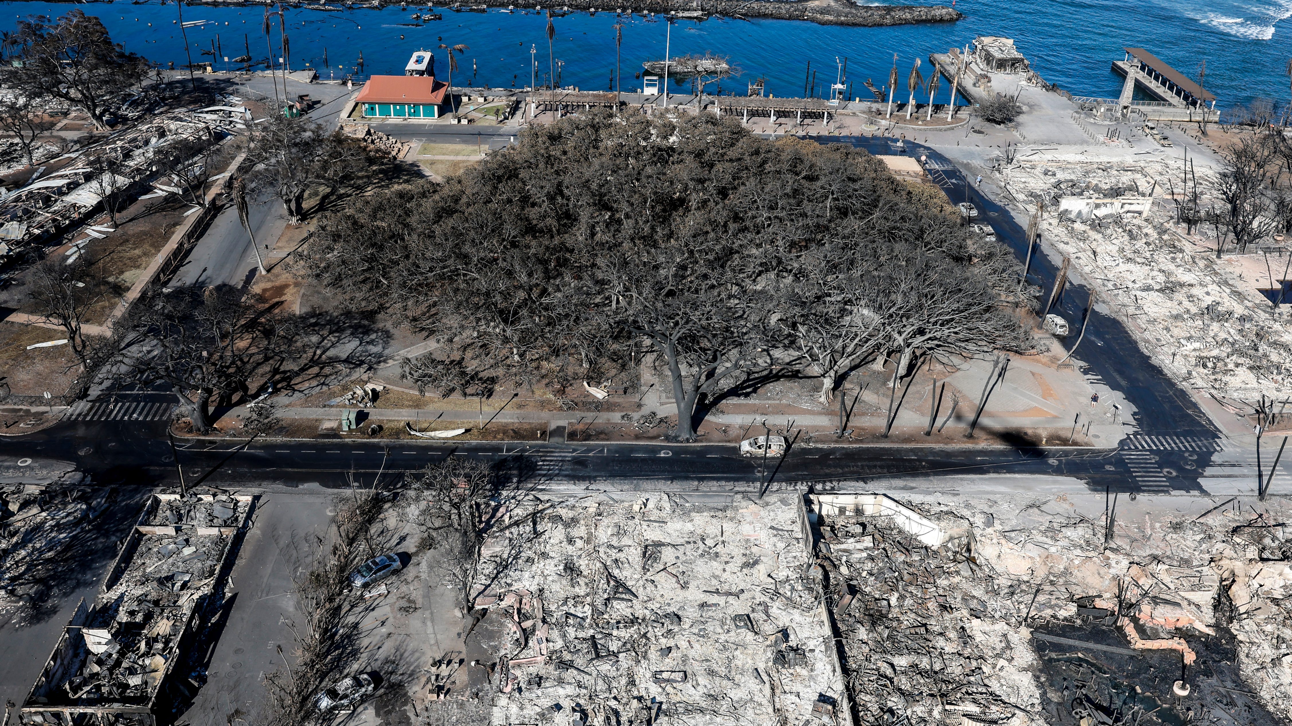 How dining out in Chicagoland can support wildfire recovery efforts in Maui