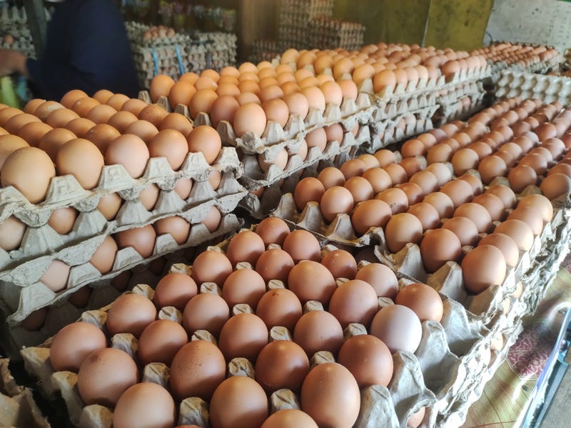 eggs