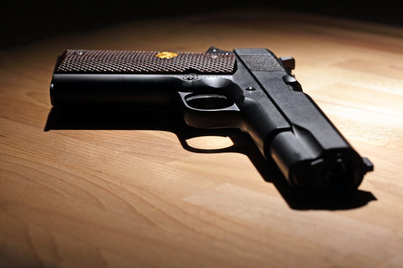 Gun