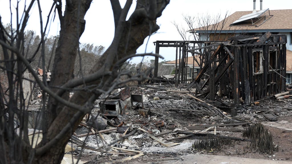 Man dies shielding golden retriever from Maui wildfire